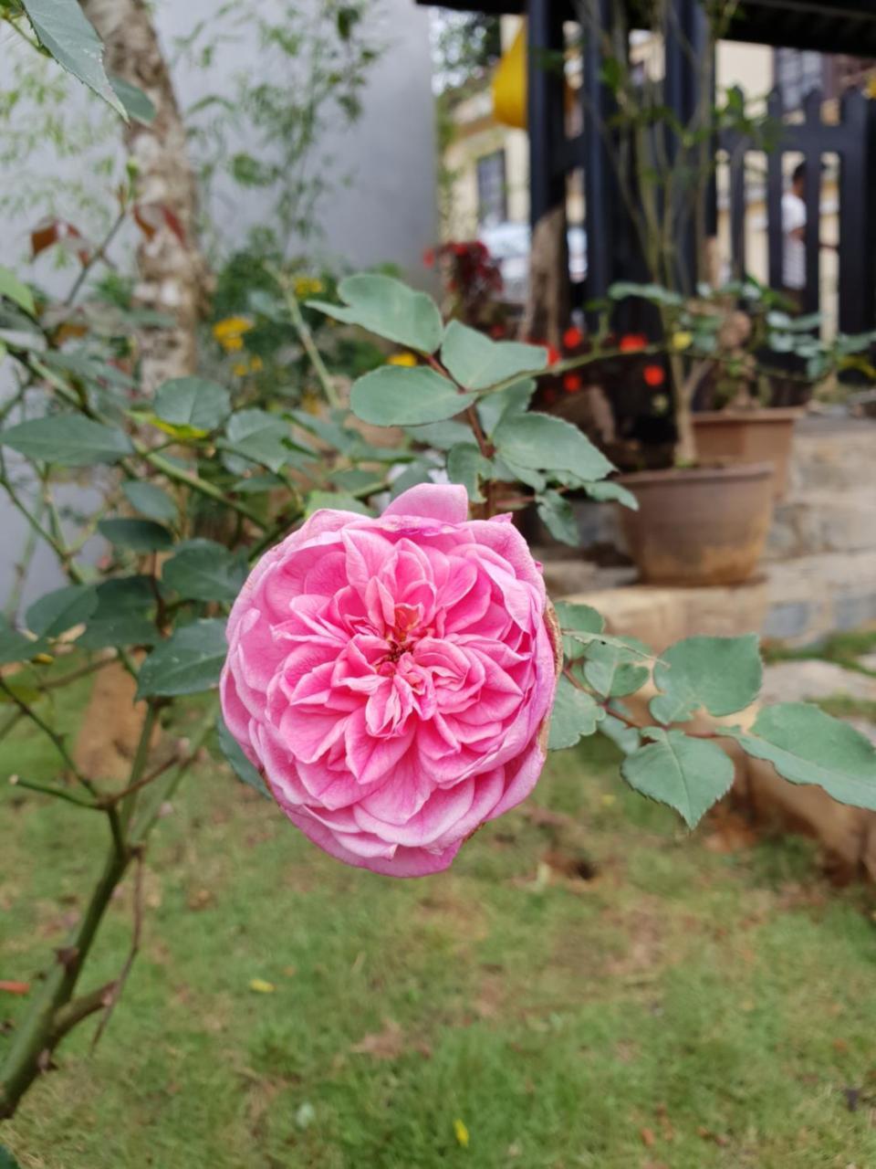 Sapa Charming Homestay Zewnętrze zdjęcie