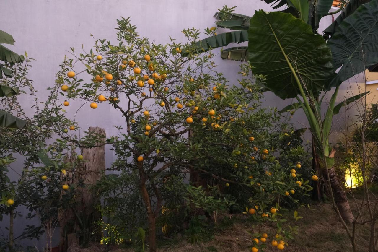 Sapa Charming Homestay Zewnętrze zdjęcie